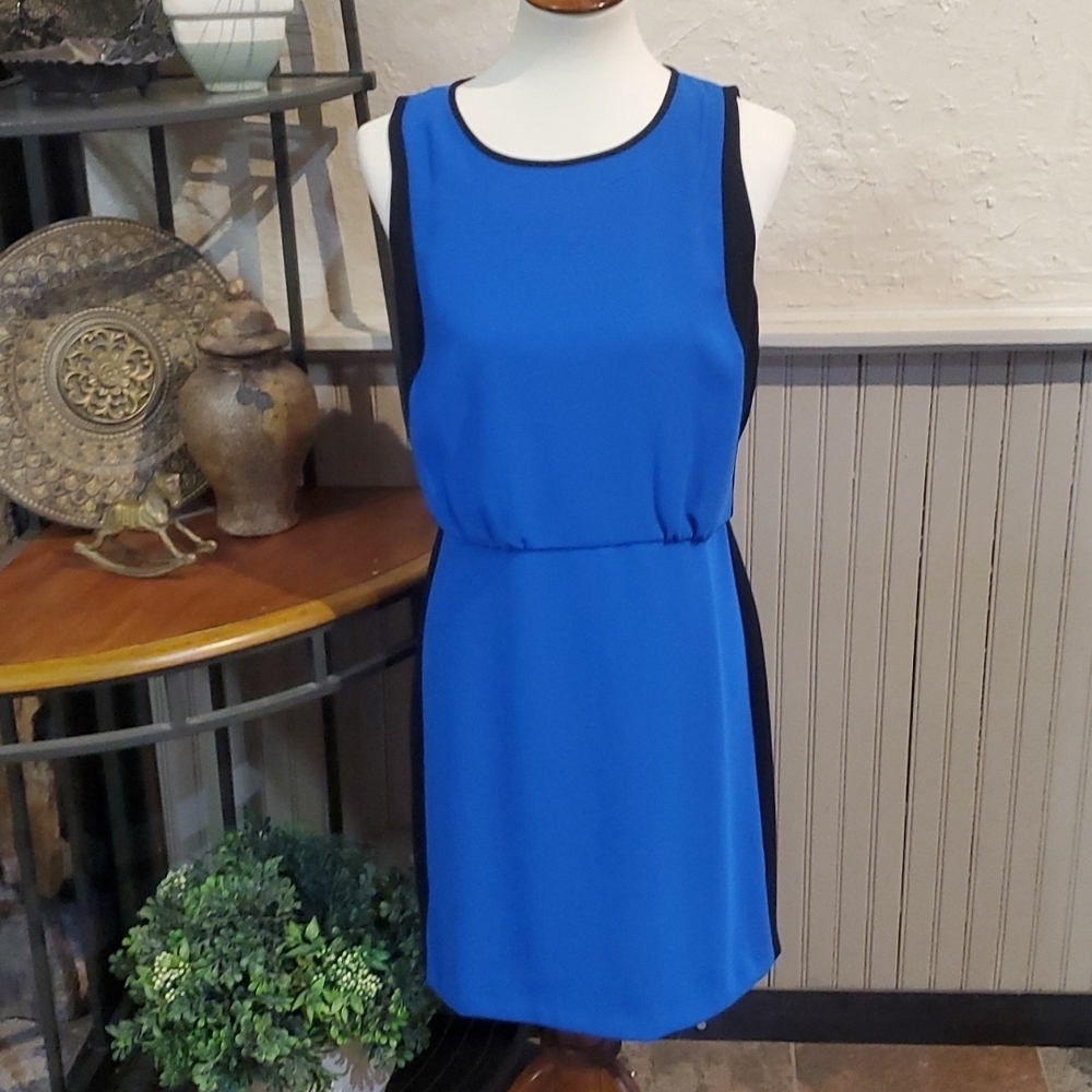 LOFT* Dress